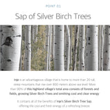 Birch Juice Moisturizing Cleanser (150ml)