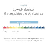 Birch Juice Moisturizing Cleanser (150ml)